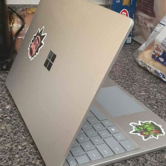 Platinum Surface Laptop Go 2